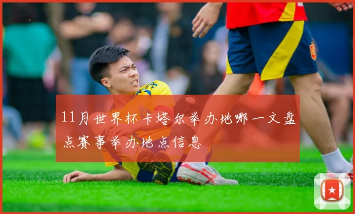 11月世界杯卡塔尔举办地哪一文盘点赛事举办地点信息