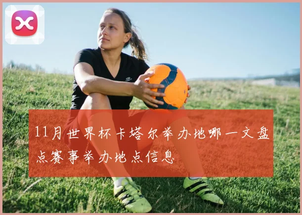 11月世界杯卡塔尔举办地哪一文盘点赛事举办地点信息